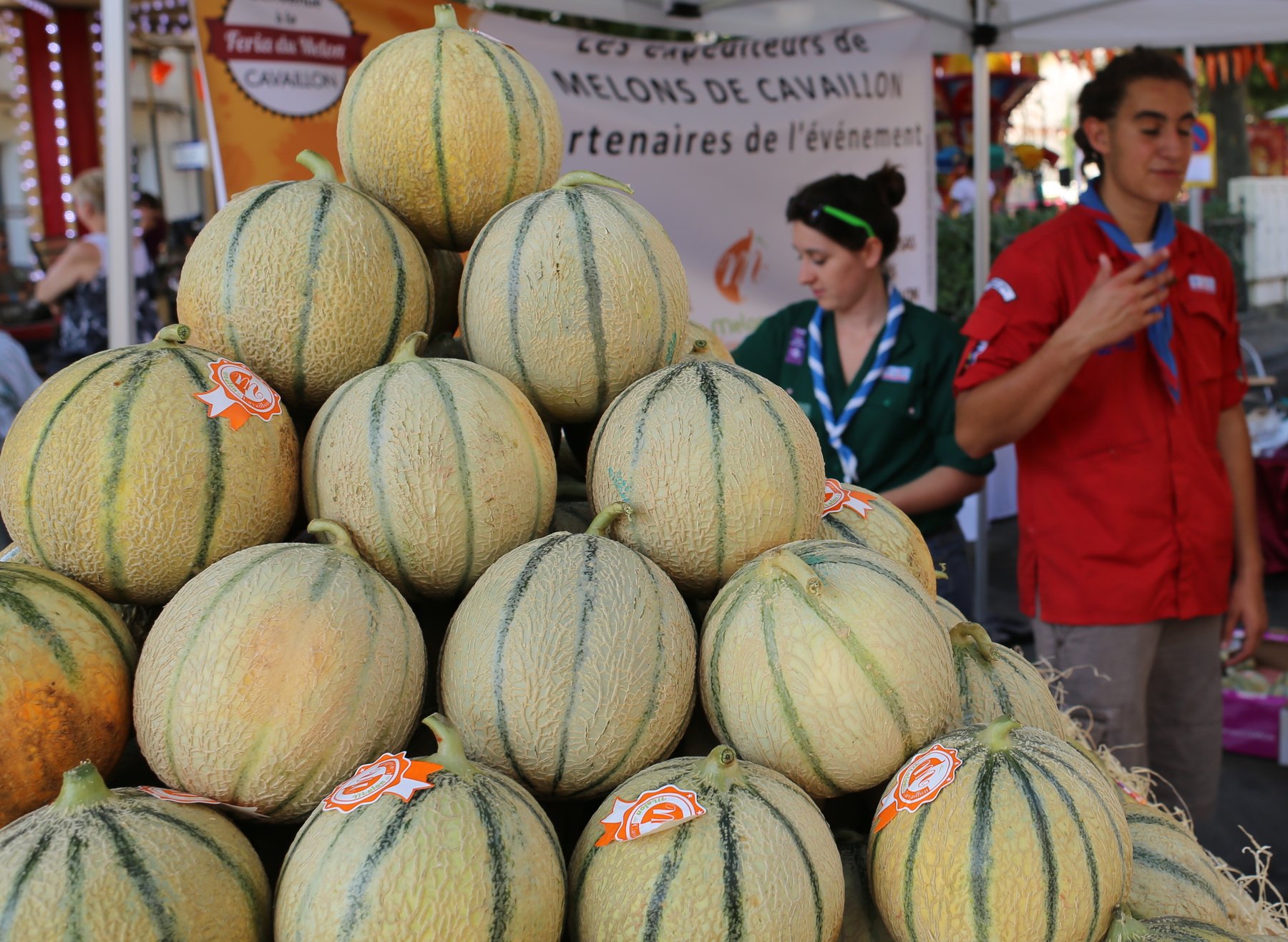 Cavaillon et son melon