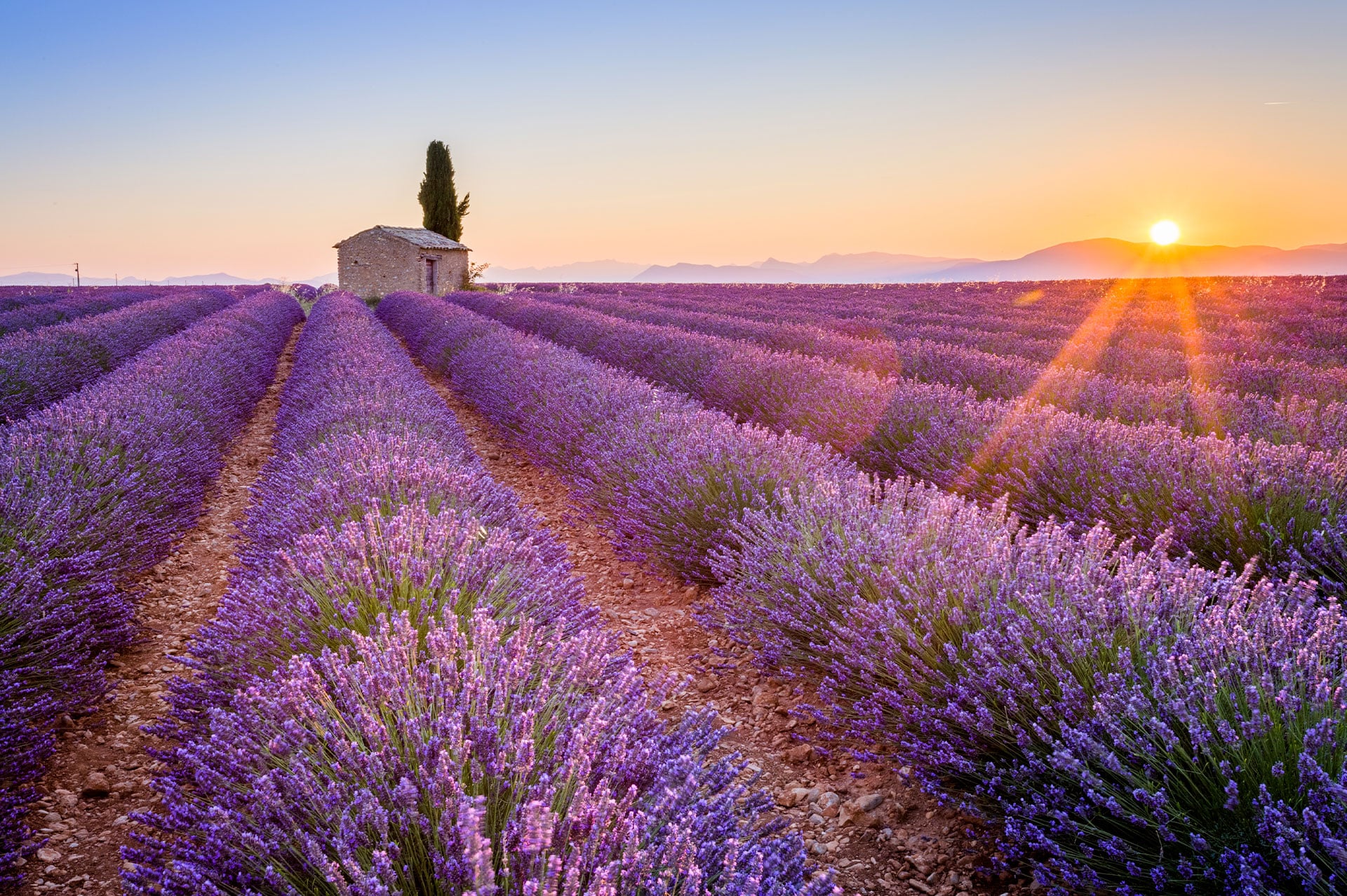 Les Plateaux de Valensole